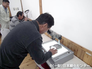 顕微鏡による樹脂道の観察