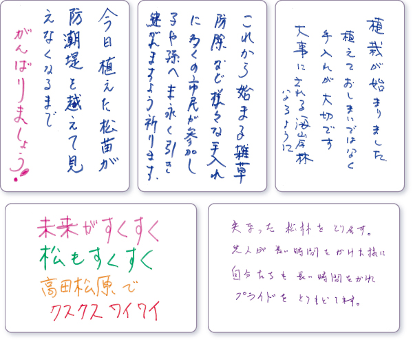 bZ[WJ[h
