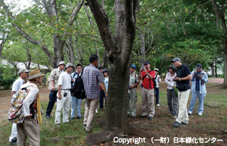 樹木と緑化の総合技術講座