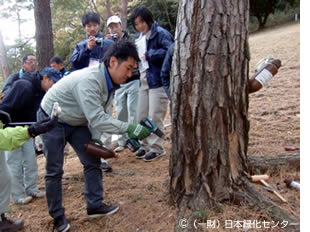 2012年マツ材線虫病予防の樹幹注入実習