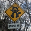 写真2　道路の警戒標識