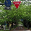 写真9　自転車歩行者専用道路として設置・管理されている緑道の規制標識
