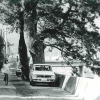 写真2　昭和40年代の松並木（右手は岩松川）