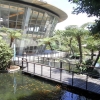 写真2　台東原生応用植物園の水景