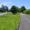 写真8　 蒜山高原自転車道（右）と県道422 号線（左）の間には緩衝帯的に緑地が設けられ、二つの道はつかず離れずの距離を保ちながら並走する