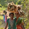 写真4　インドでの薪炭材利用