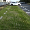 写真4　緑化駐車場（150台分）