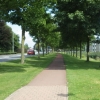 写真1　車道と並走する緑道（オランダ、ナイメーヘン近郊）