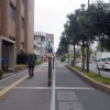 写真3　自転車の通行も可能な歩行者自転車専用路（ 堺市）