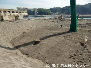 バーク堆肥混合砂覆土