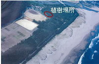 入野の松原航空写真