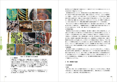 最新・樹木医の手引き（改訂4版）｜日本緑化センター 出版物