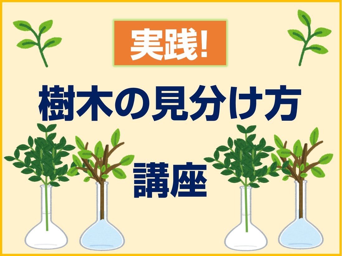 ���؈�Z�p���y�u���J�Èē�