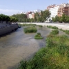 写真2　河床が再自然化されたマンサナレス川
