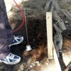 写真2　ファインノズルによる土壌改良（治療：徳江 泉）
