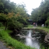 写真7　生きものとのふれあいは緑道を歩く楽しみの一つ
（横浜市、港北ニュータウン）