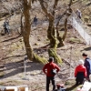 写真3　笹ヶ峰に設置した防鹿ネット