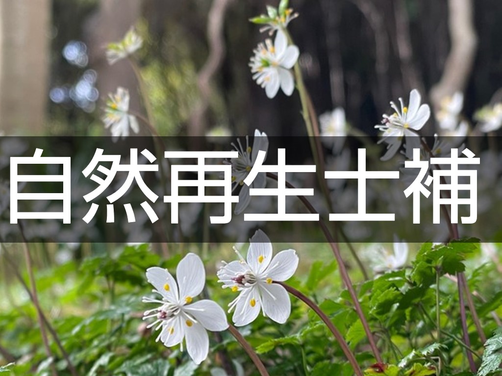 ���R�Đ��m��